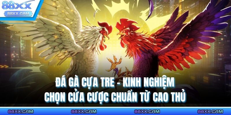 đá gà cựa tre